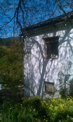 Отель Casa Rural Ahora
