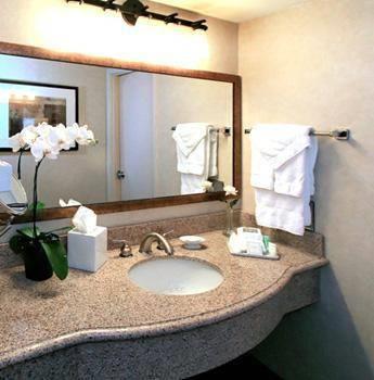 Отель Best Western Executive Inn