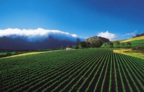 Отель Mont Rochelle Hotel & Mountain Vineyards
