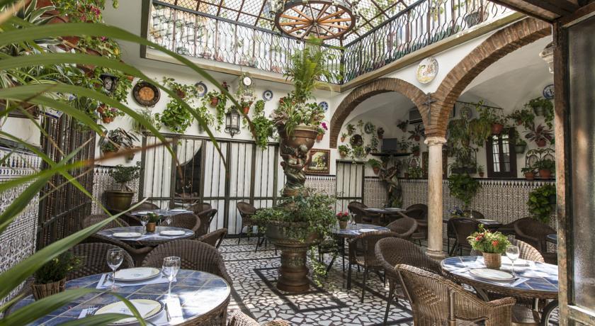 Отель Hotel las Palmeras