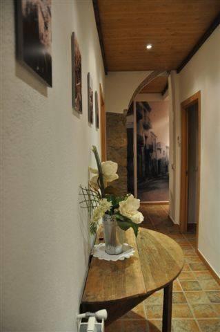Отель Casa Rural Can Cabano