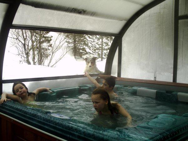 Отель Hotel Banhs de Tredos