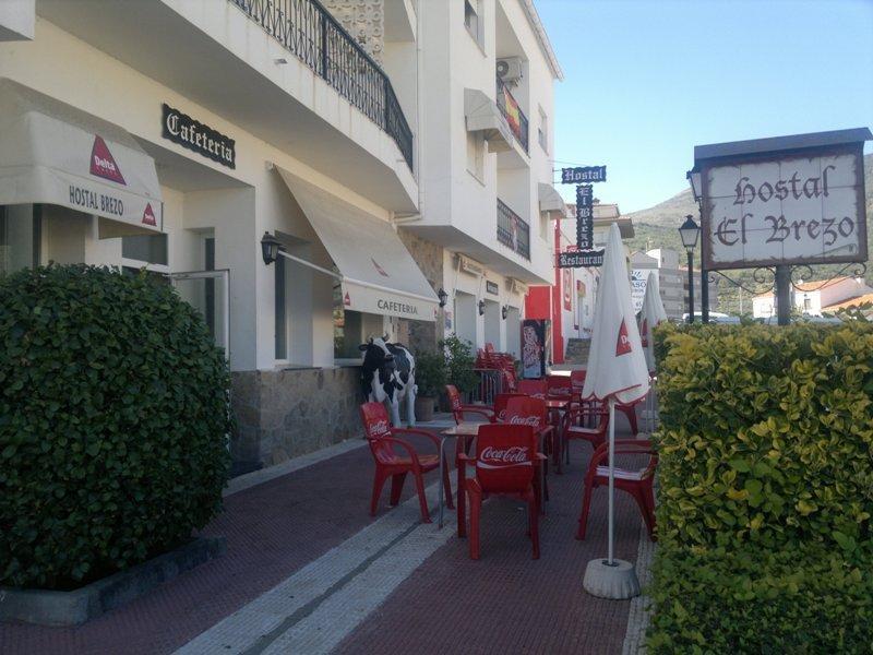 Гостевой дом Hostal El Brezo