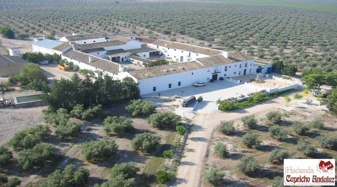 Отель Hacienda Rural Capricho Andaluz