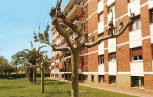 Apartment C. Pau Casals