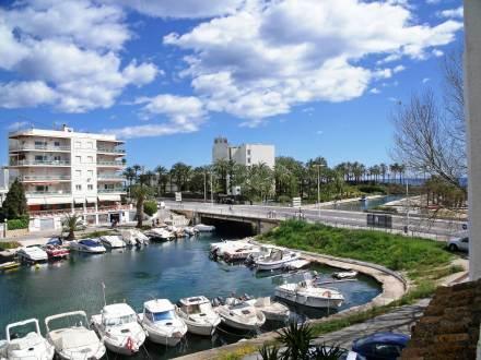 Estrella Del Sur
