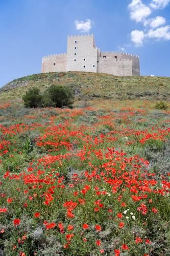 Отель Residencia Real del Castillo de Curiel