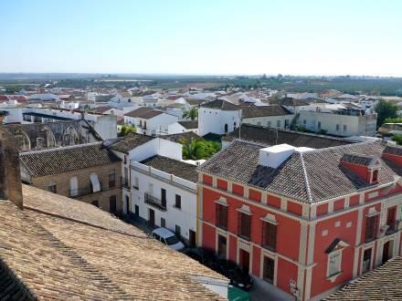 Отель Olivares Sevilla