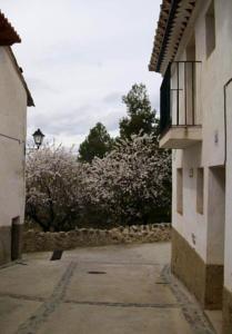 Отель La Casa De Las Orquideas