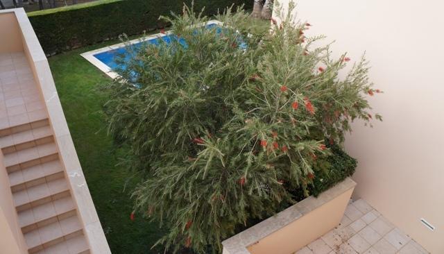 Апартаменты Costabravaforrent Pedró