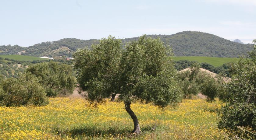 Апартаменты Holiday home Calle Villa Martin