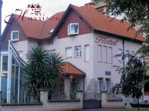 Отель Hotel Harrison Etxea