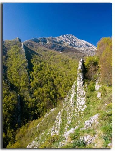 Отель Corrada Torales