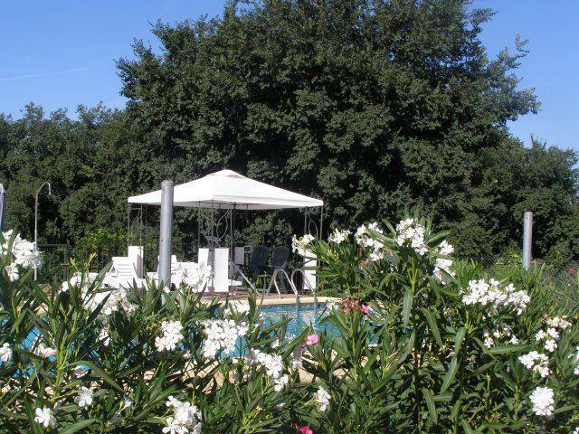 Отель Casa Rural Alameda