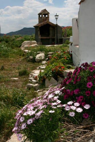 Отель Posada Humblebee Home