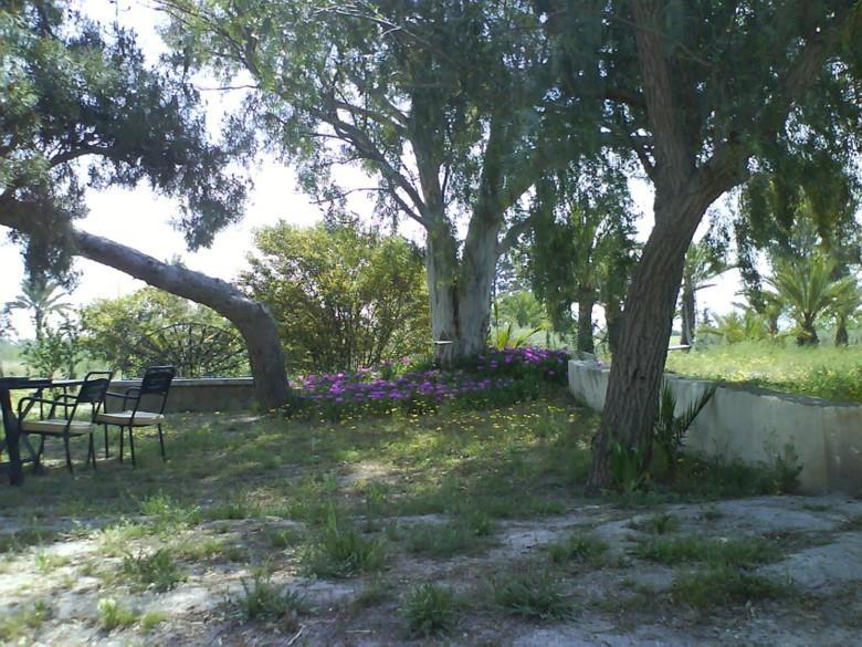 Отель Casas Del Cortijo