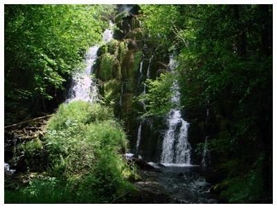 Гостевой дом Hostal Betelu