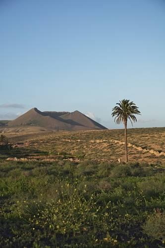 Апартаменты Finca Juan Gopar