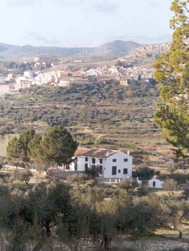 Отель Cortijo La Zorrera 1