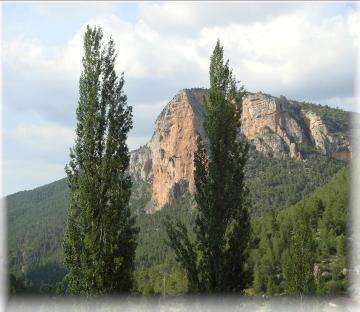 Отель Hotel Spa Venta Ticiano
