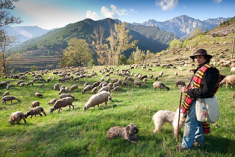 Отель Alojamiento Rural y Casa de Colònies Pedraforca