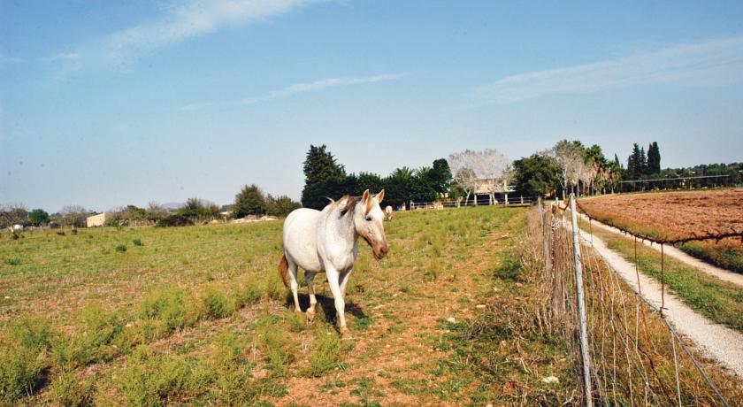 Апартаменты Holiday home Sencelles Polígono