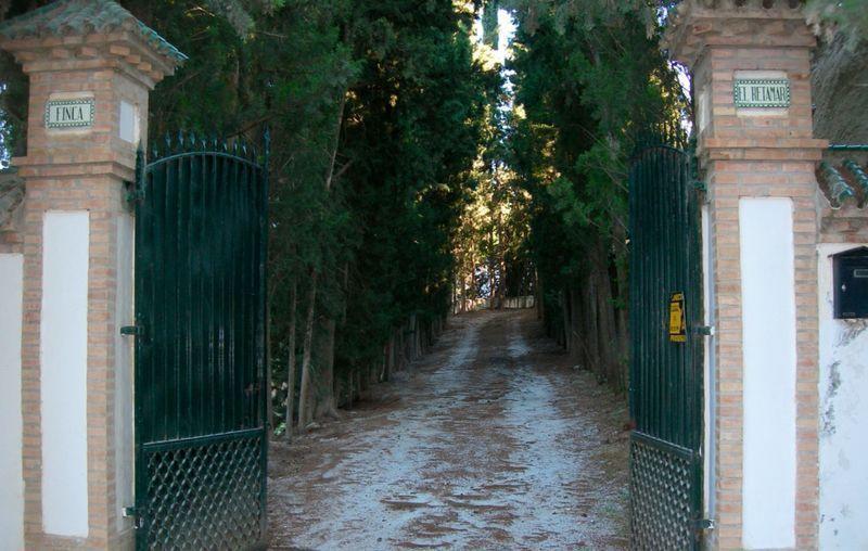 Вилла Finca El Retamar
