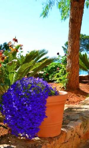 Вилла Ibiza Secret Paradise