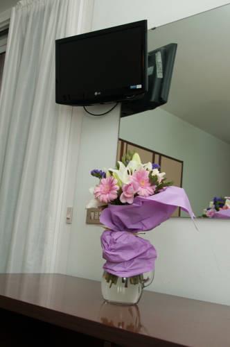 Отель Hotel Dolomiti