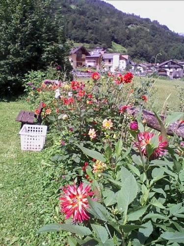 Отель Agritur Scarena