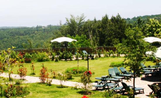 Отель Park Hotel Bellavista