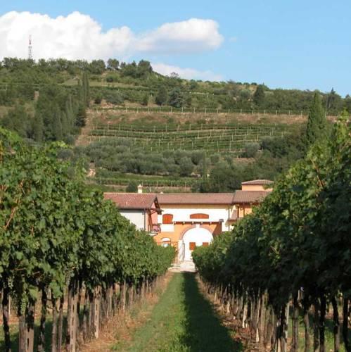 Отель Agriturismo Valentina Cubi