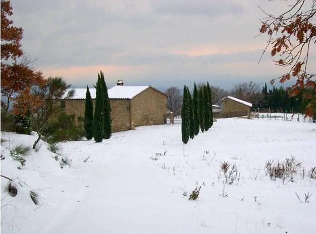 Вилла La Casella