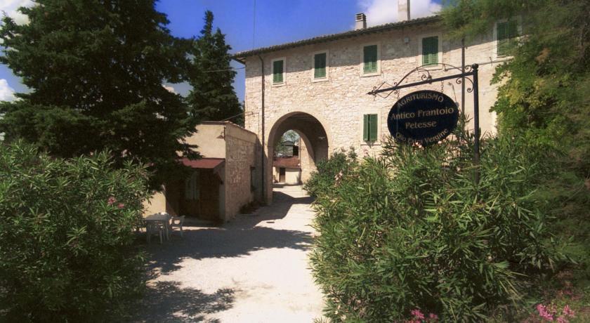 Отель Agriturismo "Il Frantoio"