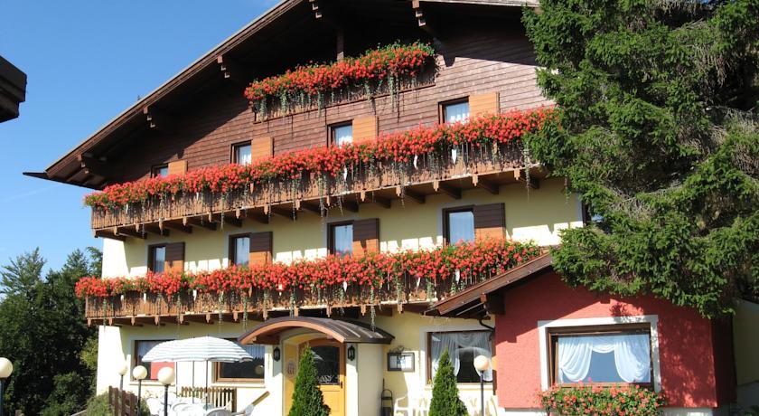 Отель Albergo Villa Cristina