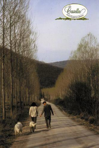 Отель La Casella