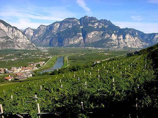 Отель Relais Serra Alta