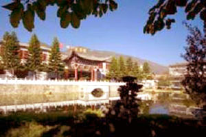 Отель Butterfly Spring