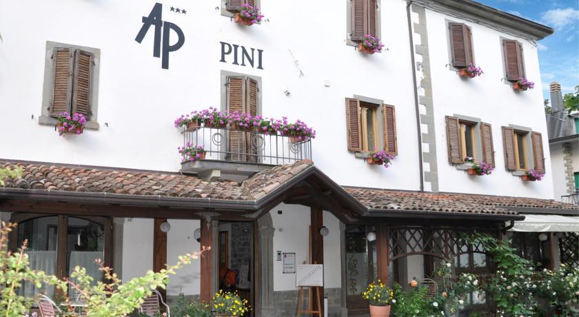 Отель Hotel Pini