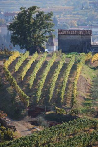 Отель Agriturismo Domus Rustica