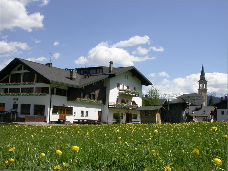Отель Hotel D'La Varda