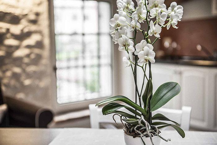 Апартаменты Residence Corte San Carlo