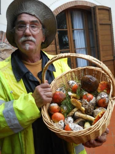 Отель Poggio Alla Buca