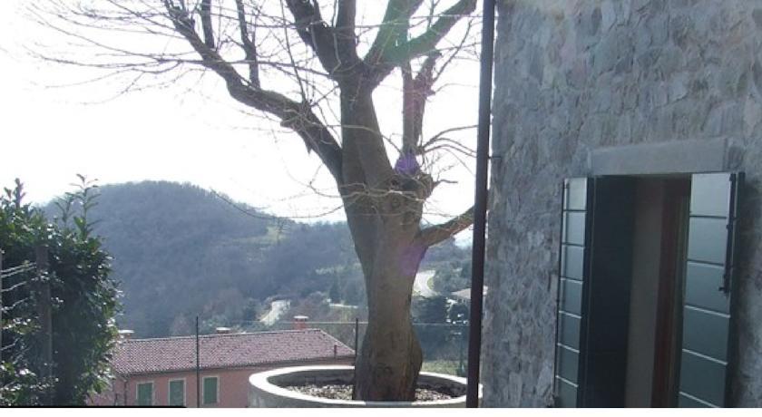 Мини-отель B&B La Casa Del Riccio