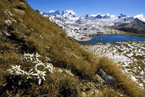 Отель Rifugio Guido Muzio