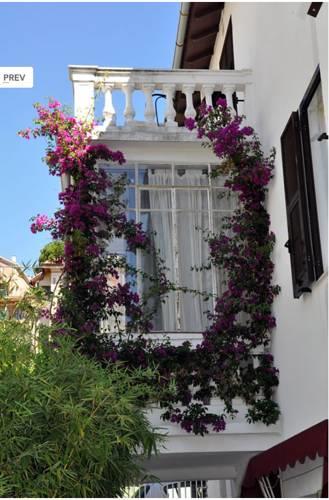 Отель Hotel Marinella