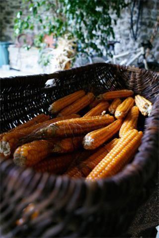Отель Agriturismo Pra' Di Reto