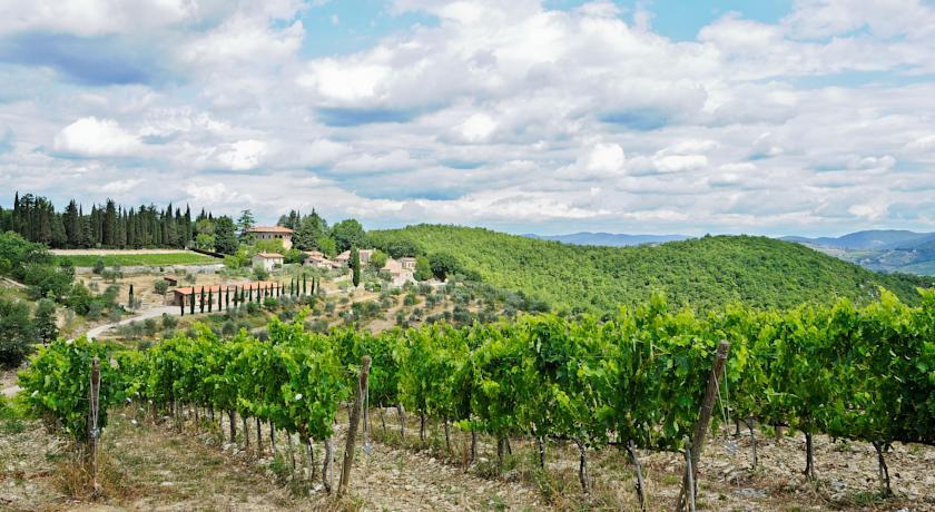 Отель Querceto Di Castellina