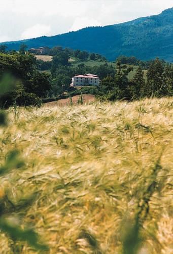 Отель Country House "Locanda Le Querce"