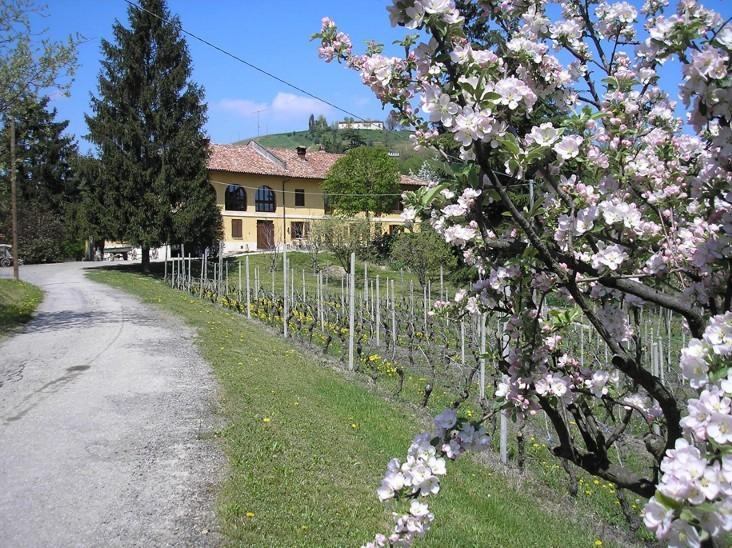 Отель Agriturismo Cascina Bo